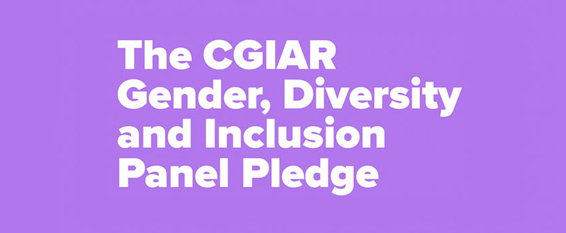 GENDER, DIVERSITY AND INCLUSION IN CGIAR’S WORKPLACES